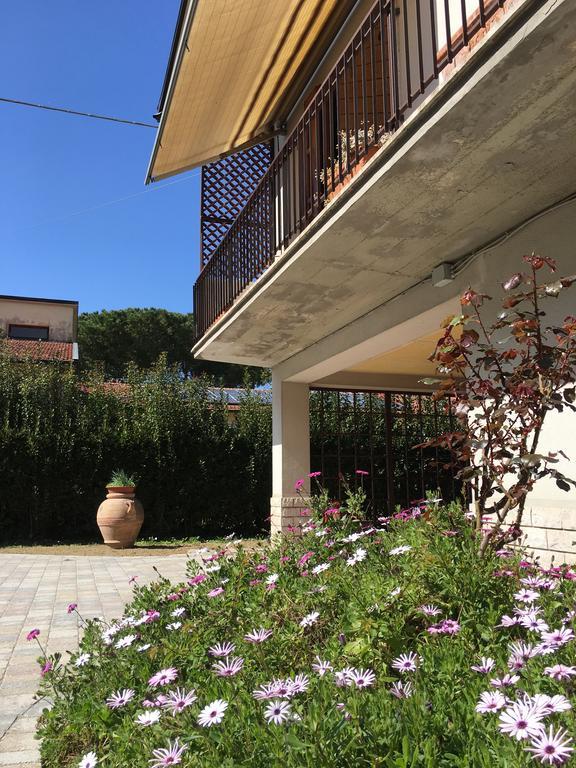피사 La Casa Di Nila 아파트 외부 사진